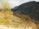 DSCN8965