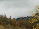 DSCN8967