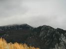 DSCN9021