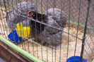 Picture 071