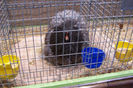 Picture 076