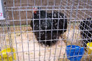 Picture 079