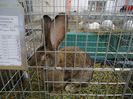 DSC05955
