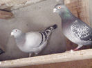 DSCF7738