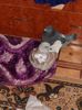 DSCN0067