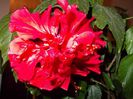 DSCN0015