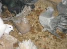 DSCN0420