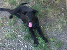 IMG00724-20130803-1036