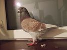 DSCN0471