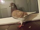 DSCN0472