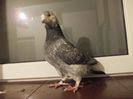 DSCN0494
