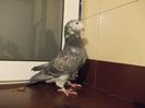 DSCN0496