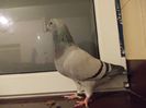 DSCN0504