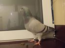 DSCN0505