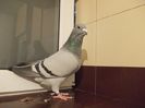 DSCN0506