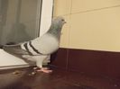 DSCN0507