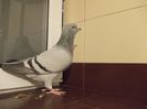 DSCN0508