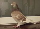 DSCN0537