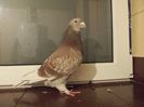 DSCN0542