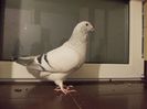 DSCN0544