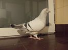 DSCN0545