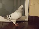 DSCN0546