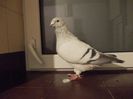 DSCN0548