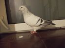 DSCN0549