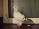 DSCN0554
