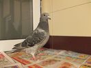 DSCN0568