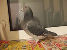 DSCN0575