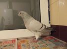 DSCN0585