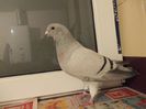 DSCN0589