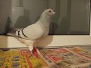 DSCN0594