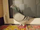 DSCN0598