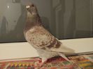 DSCN0627