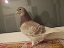 DSCN0639