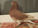 DSCN0657
