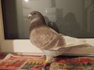 DSCN0675