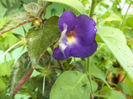 DSC02120
