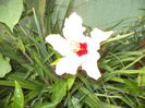 DSC02250