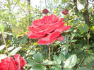 DSC02256