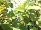 DSC02260