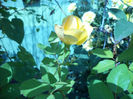 DSC02261