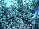 DSC02264