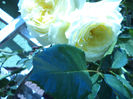 DSC02265