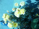 DSC02268
