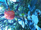 DSC02269