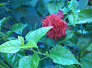 DSC02276