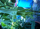DSC02277